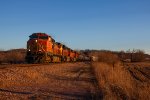 BNSF 5299